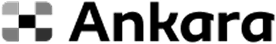 Ankara